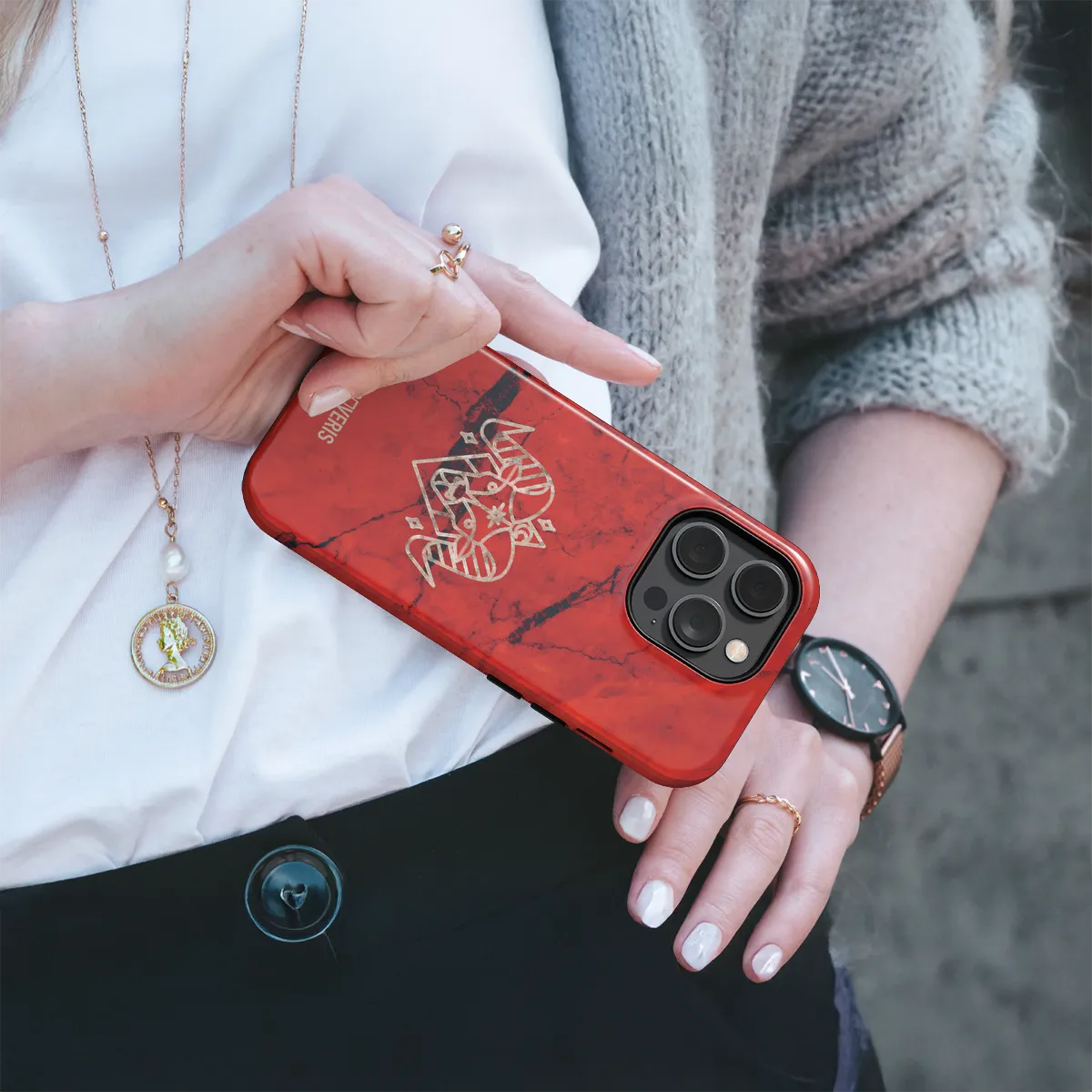 Telefono dėklas - Aries